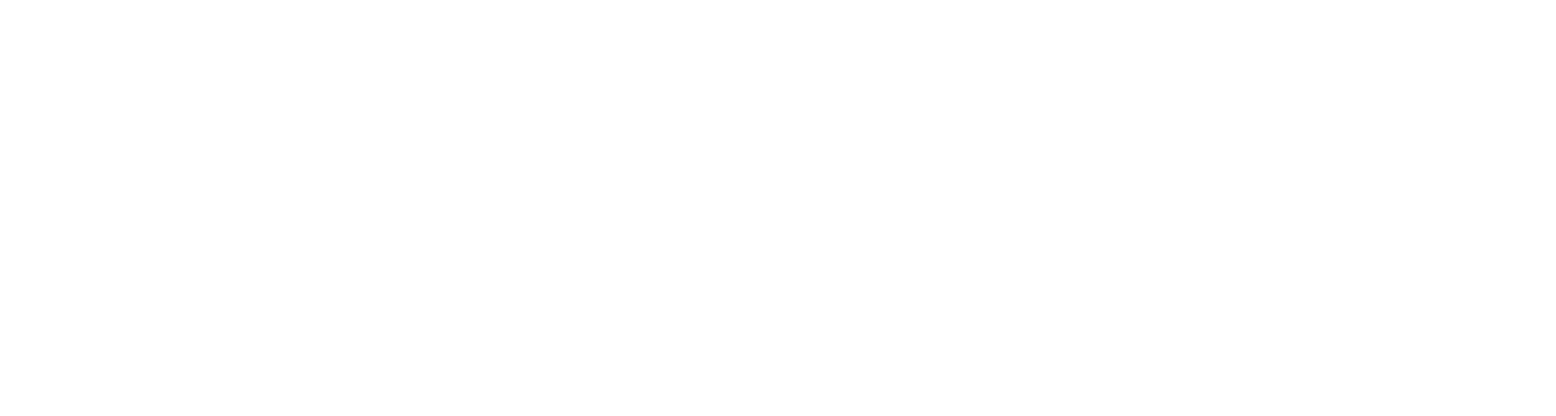 nintendo logo